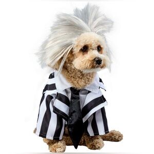Beetlejuice Halloween Costume Outfit Dog Pet Cat Toupee Wig M Rubie’s Stripe